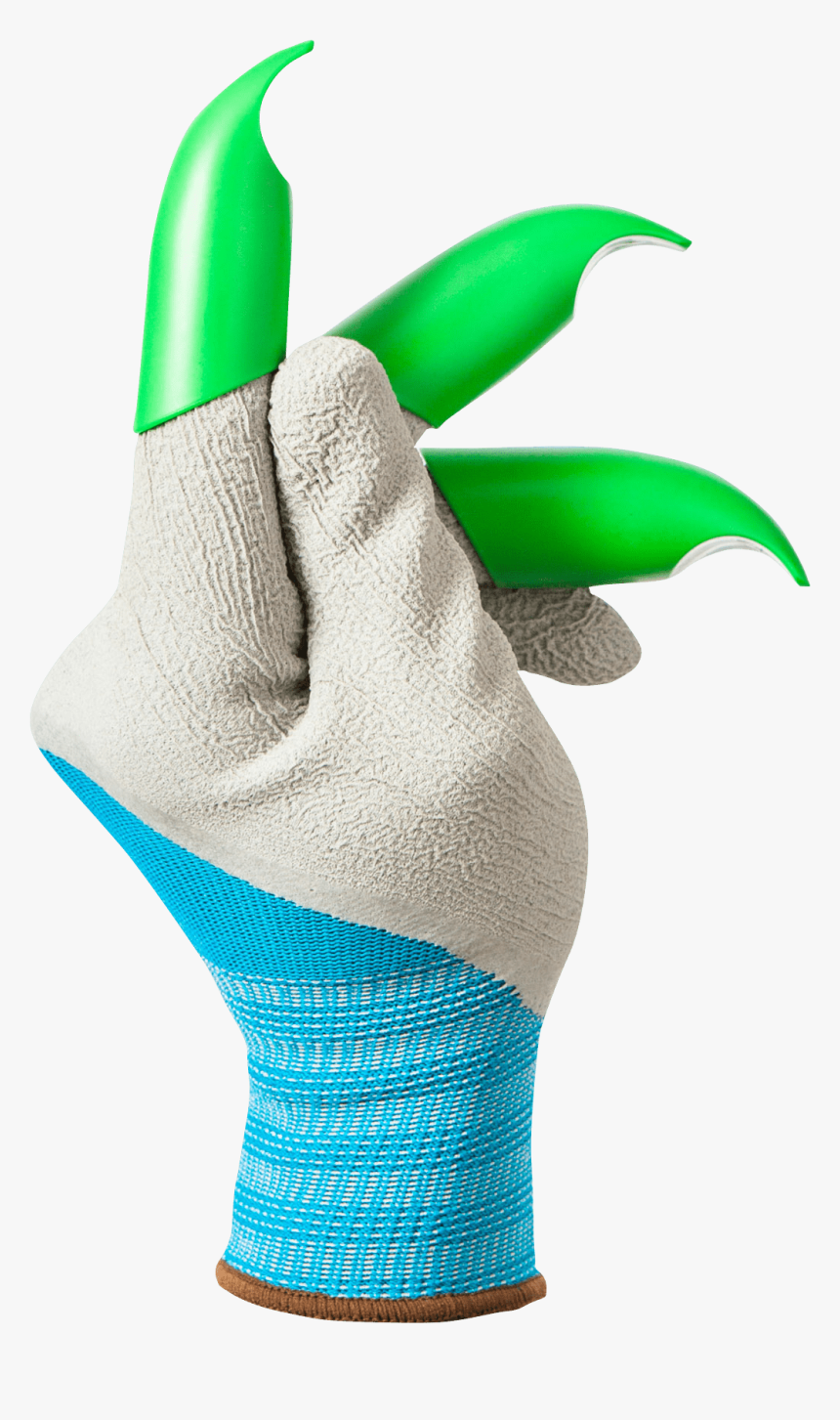 Shop Now - Illustration - Cartoon, HD Png Download
