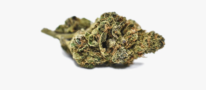 Infantry, HD Png Download