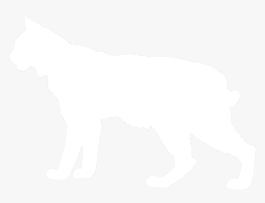 Dog Licks, HD Png Download