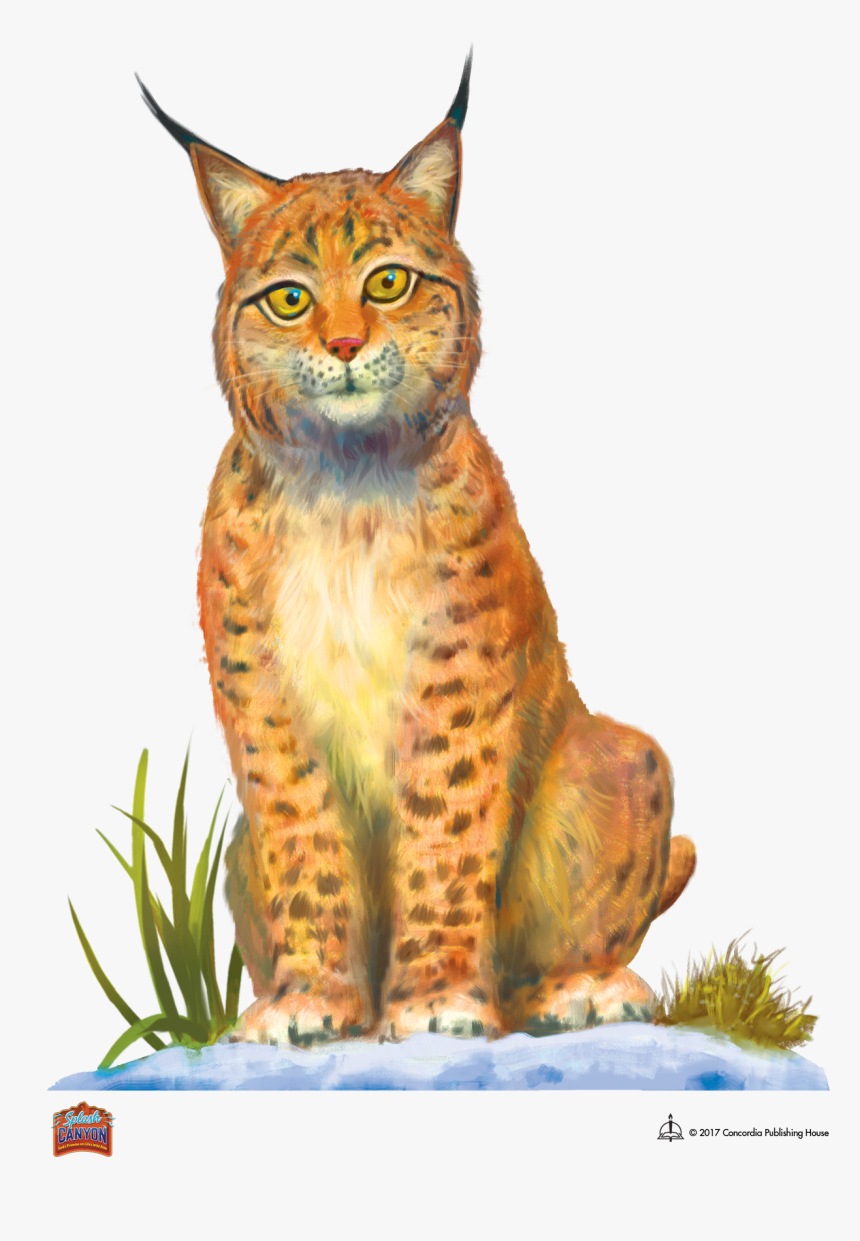 Splash Canyon Vbs Eddy, HD Png Download