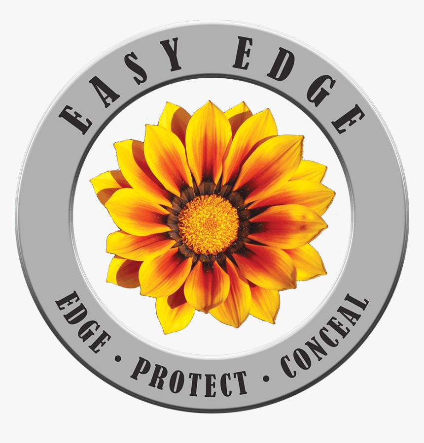 Easy Edge - Flowering Plants Anthophyta, HD Png Download