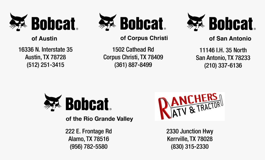 Bobcat, HD Png Download