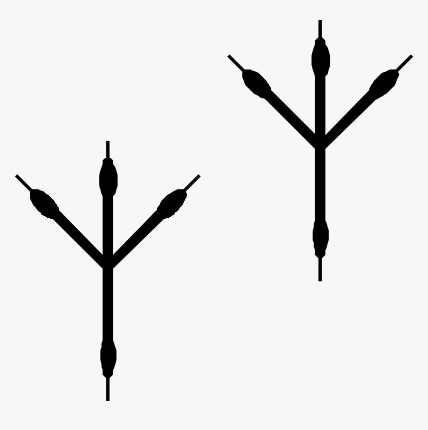 Footprint Sticker Clip Art - Bird Footprints Transparent Background, HD Png Download