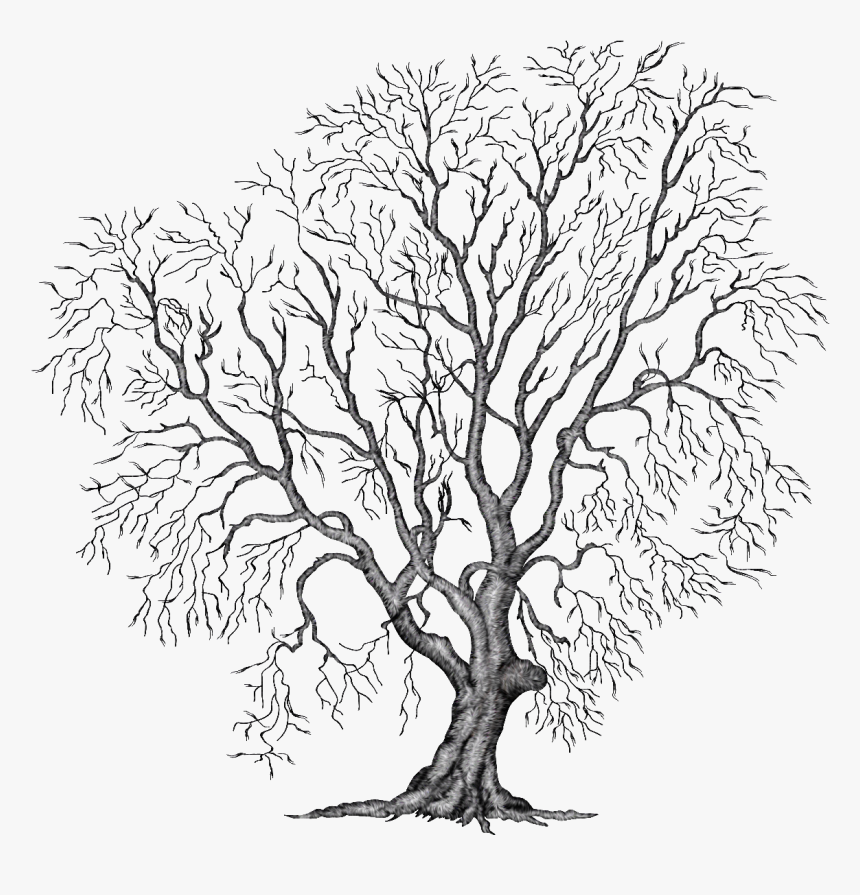 Painting Tree Clipart Illustration Png File Autumn - Winter Tree Clipart Transparent, Png Download