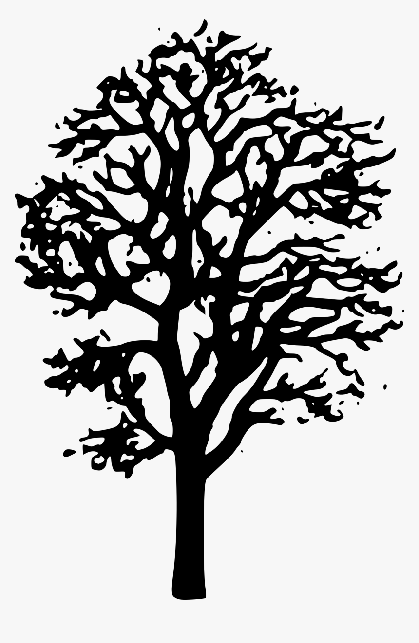 Maple Tree Clip Arts - Tree Clipart Black And White Transparent, HD Png