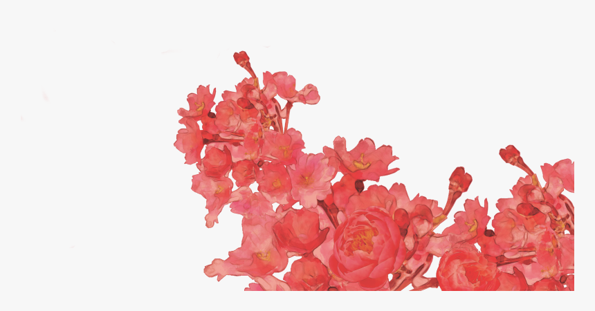 Garden Roses, HD Png Download