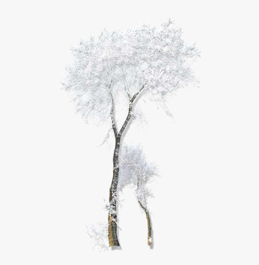 Twig Drawing Winter Belvedere Vodka - Tube Png Arbre Hiver, Transparent Png