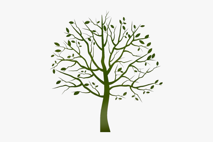 Tree Clearing Png Transparent Images - Tree Clipart Transparent Background, Png Download