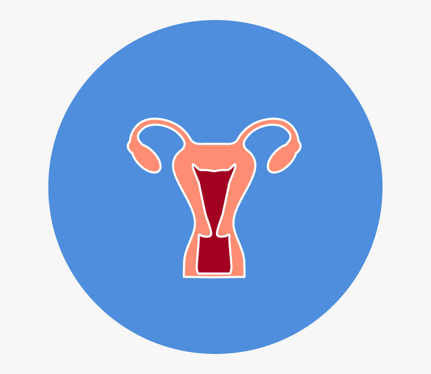 Illustration, HD Png Download