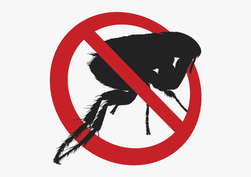 Download Flea Download Png Image - No Flea Logo Png, Transparent Png