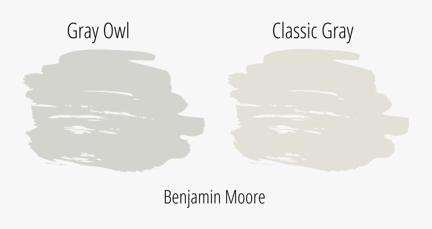 Gray Owl Next To Classic Gray Paint Swatch From Benjamin - White Paint Swatch Png, Transparent Png