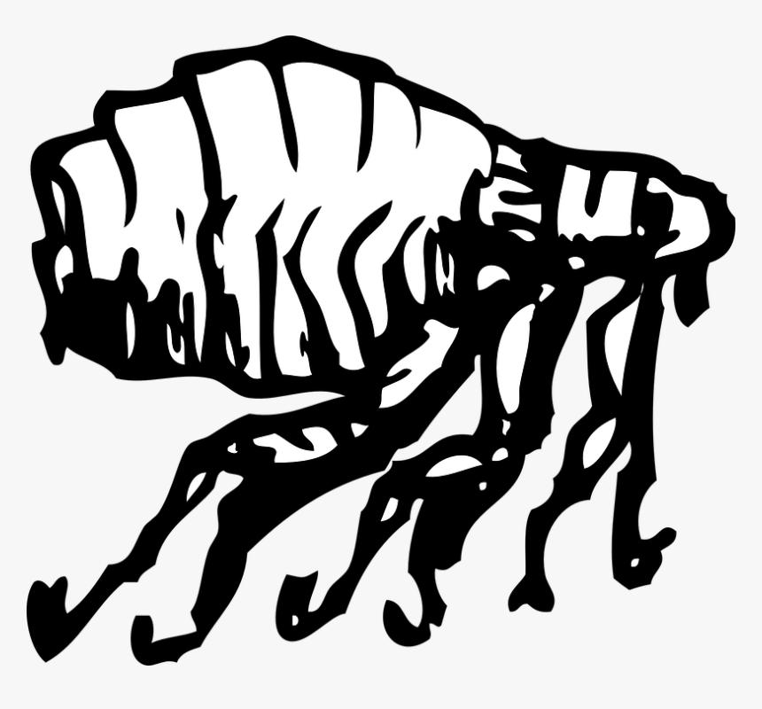 Flea, Bug, Jump, Leap, Pest, Itch, Parasite, Bite - Flea Clip Art, HD Png Download
