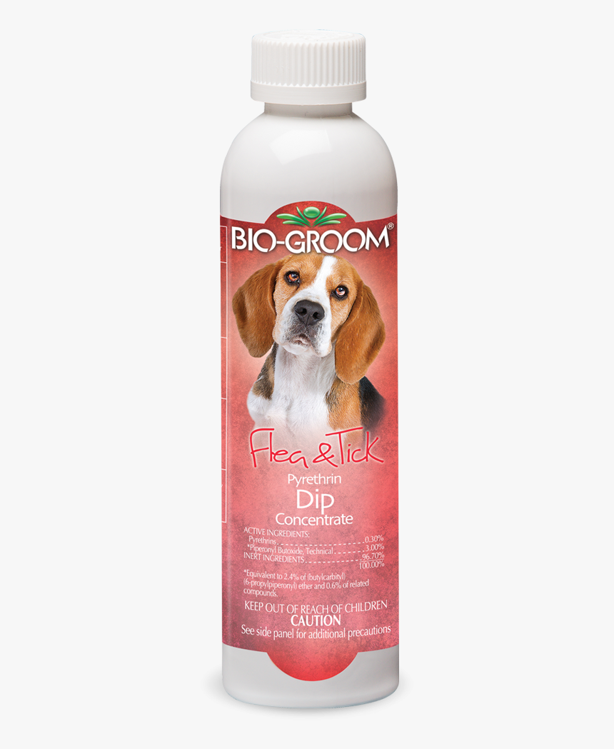 Beagle, HD Png Download