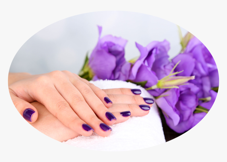 Picture - Crocus, HD Png Download