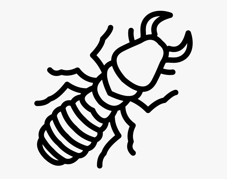 Termites Control - Illustration, HD Png Download