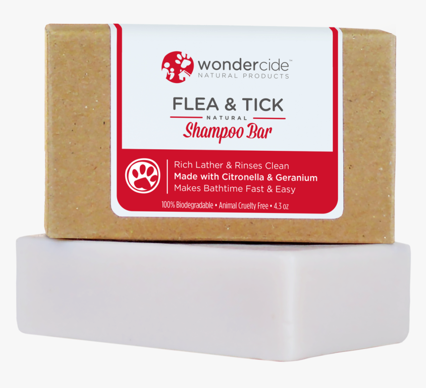 Flea Png, Transparent Png