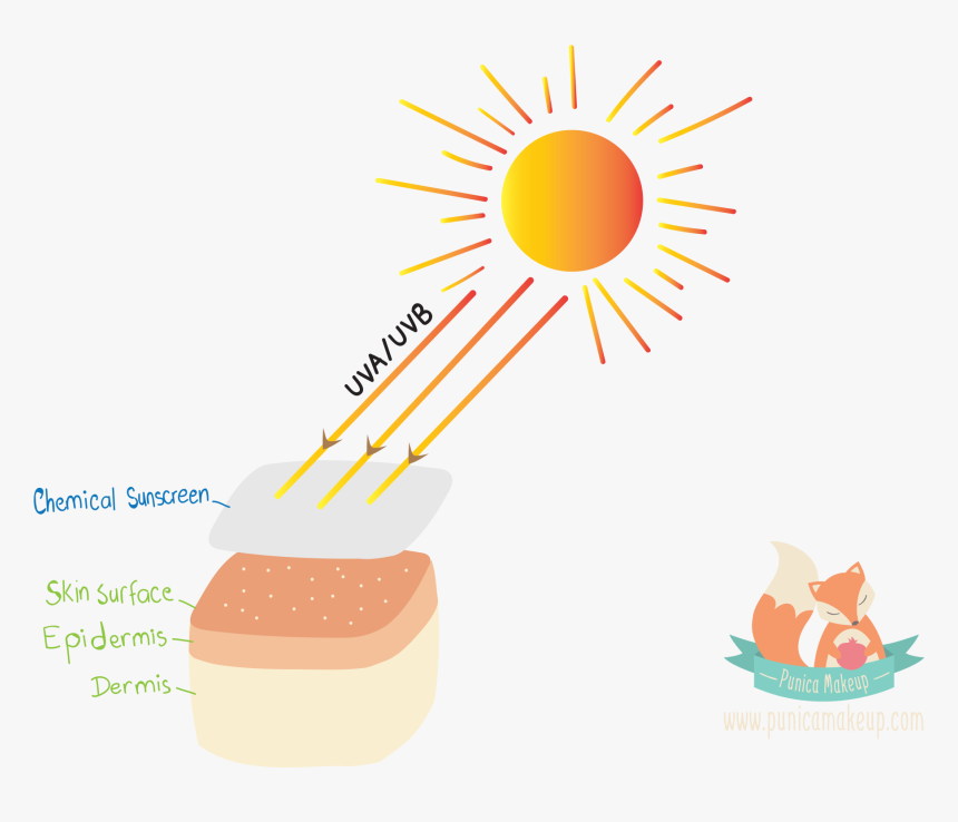 Things You Must - Sunlight Clipart, HD Png Download