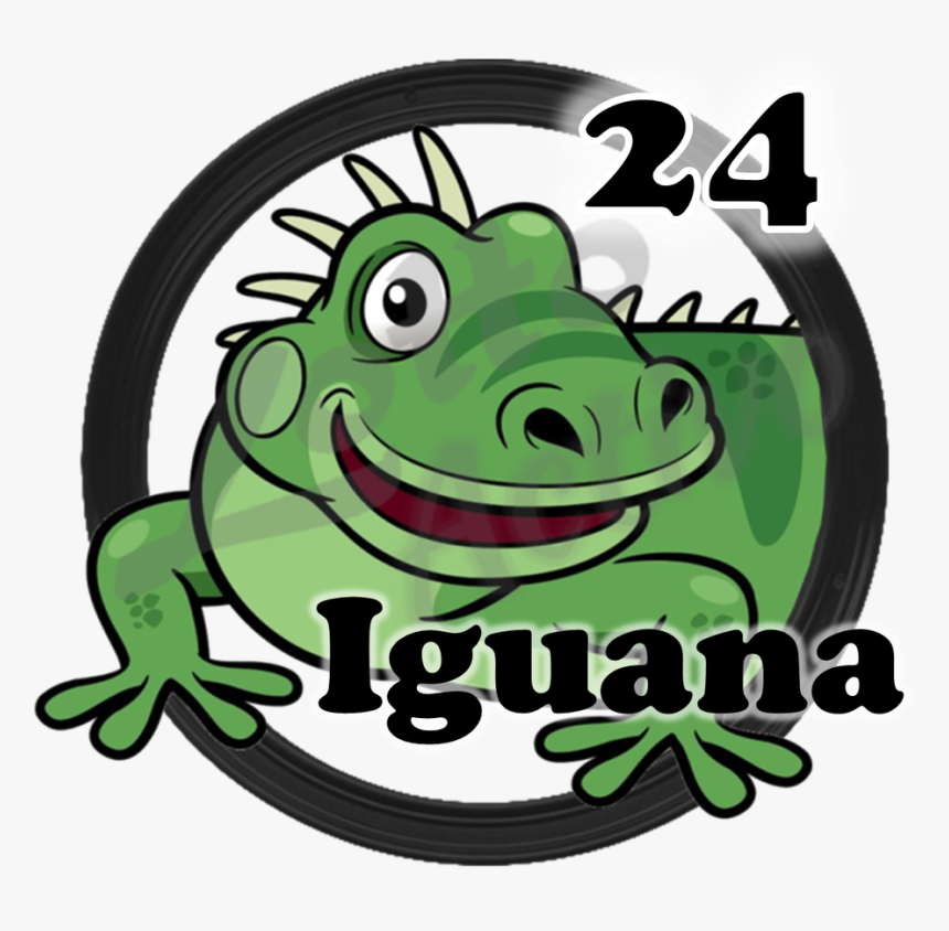 24 Iguana - Heart Florida, HD Png Download