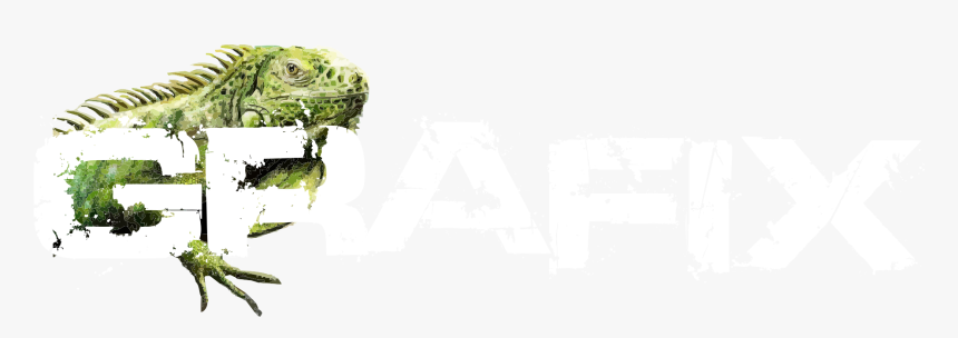 Green Iguana, HD Png Download