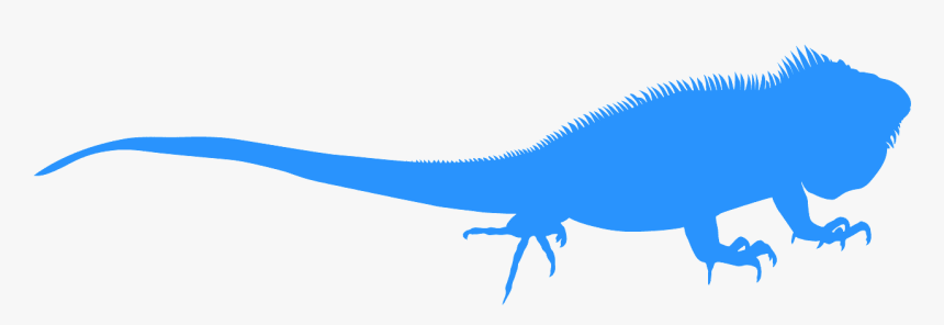 Iguana Silhouette, HD Png Download
