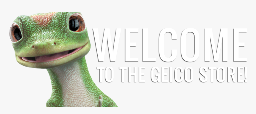 Iguana , Png Download - Close-up, Transparent Png