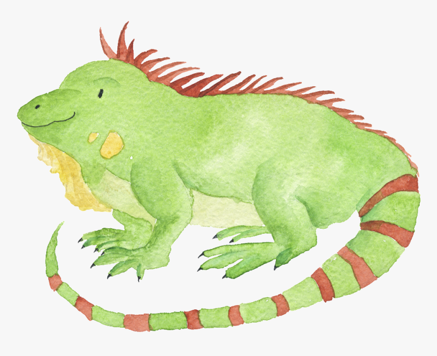 Watercolor Hand Drawn Animal Iguana Illustration , - Drawing, HD Png Download