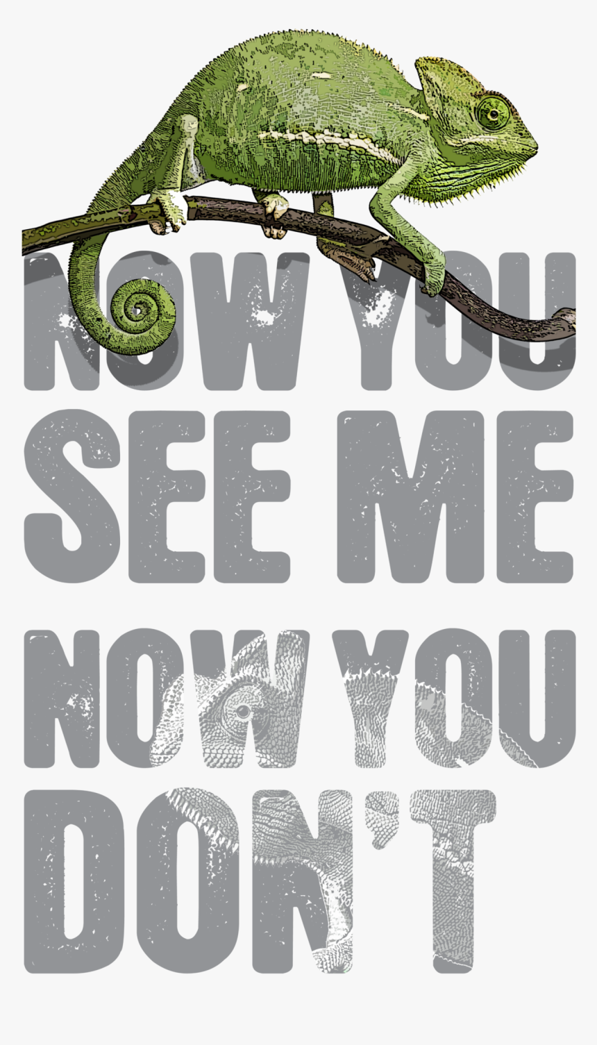 Common Chameleon, HD Png Download