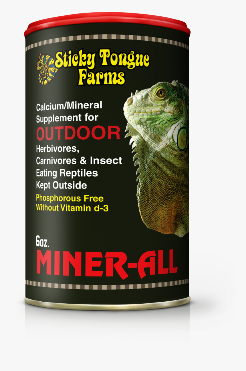 Iguana, HD Png Download