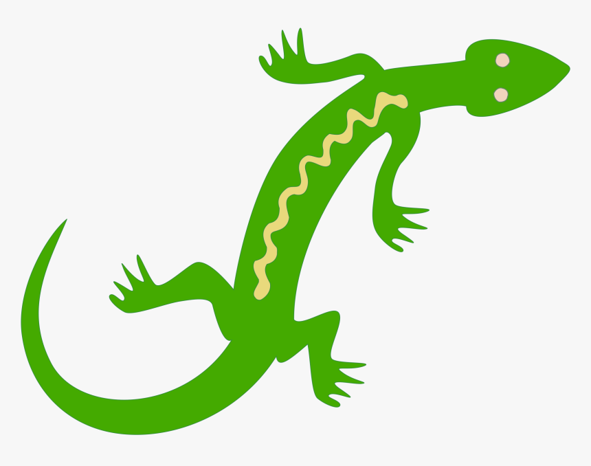 Newt Clipart Iguana - Lizard Clipart, HD Png Download