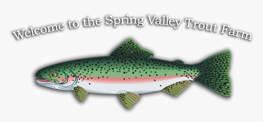 Transparent Trout Png - Trout, Png Download