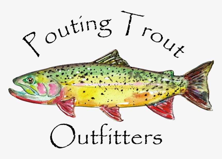 Trout , Png Download - Brown Trout, Transparent Png