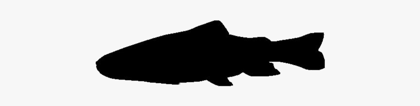 Transparent Brook Trout Clipart, Brook Trout Png Image - Silhouette, Png Download