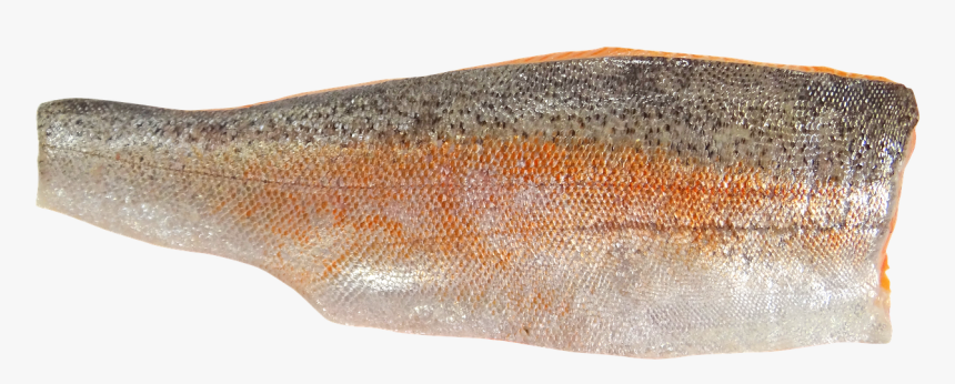 Fish Fillet Png - Alabalik Fileto, Transparent Png