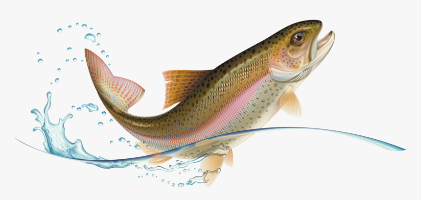 Jumping Rainbow Trout, HD Png Download