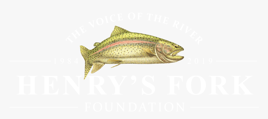 New Color Logo White - Bobby Sands Mural, HD Png Download