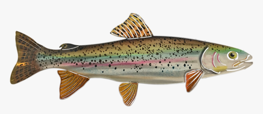 Rainbow Png Coastal Cutthroat Trout - Coastal Cutthroat Trout, Transparent Png