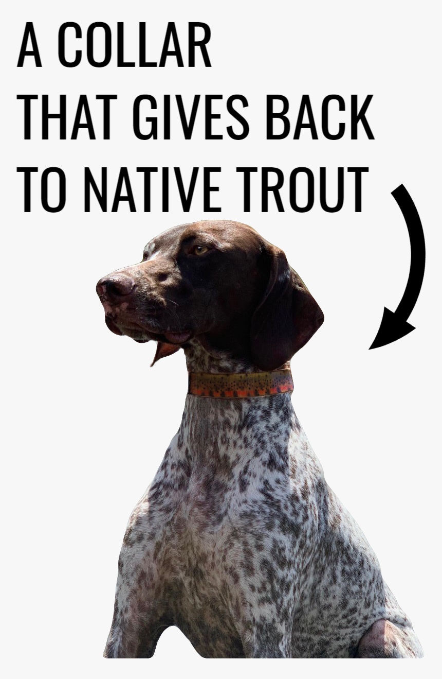 Collarthatgivesback - Copenhagen Business School, HD Png Download