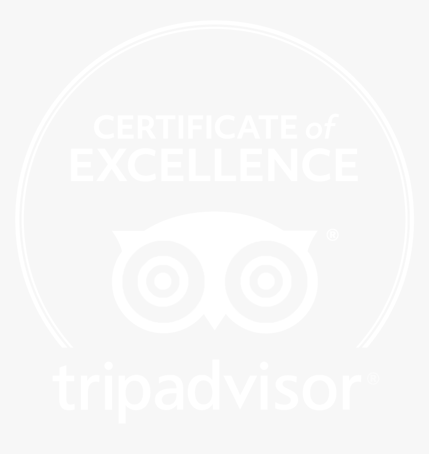 Transparent Trip Advisor Logo Png - Tripadvisor Llc, Png Download