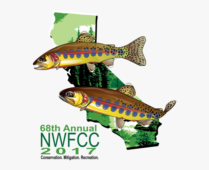 The California Department Of Fish And Wildlife Cordially - Trout, HD Png Download