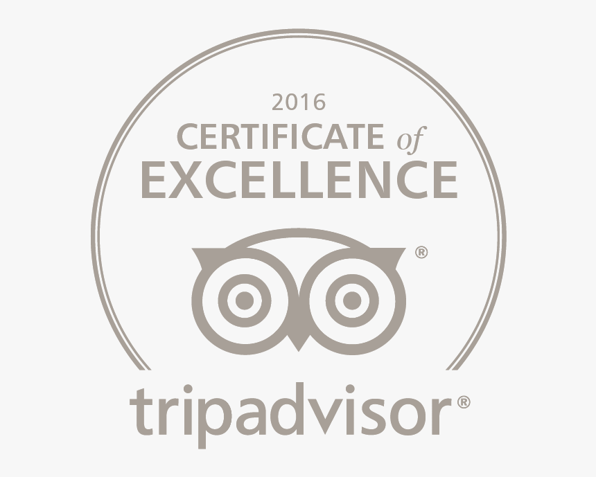 Trip Advisor Logo Certificate Of Excellence Png - 2017 Certificate Of Excellence Tripadvisor Png White, Transparent Png