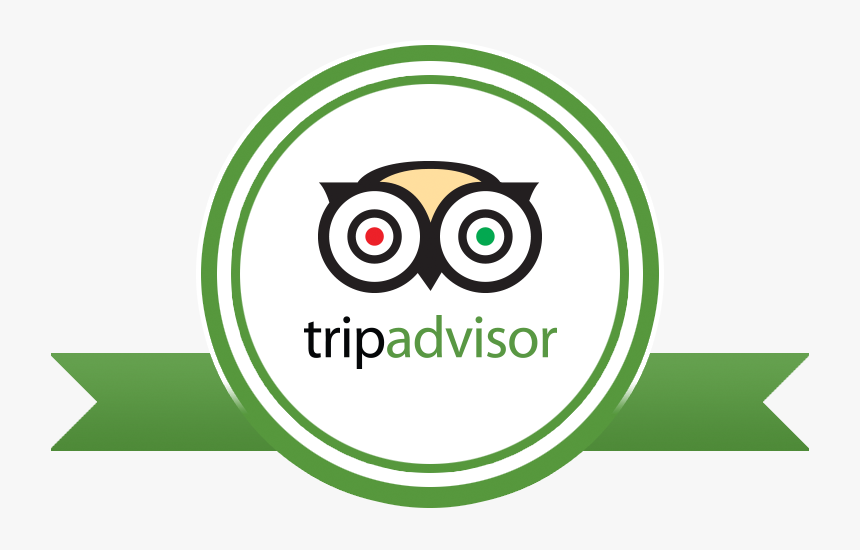 Reviews Witourist - Tripadvisor Png, Transparent Png