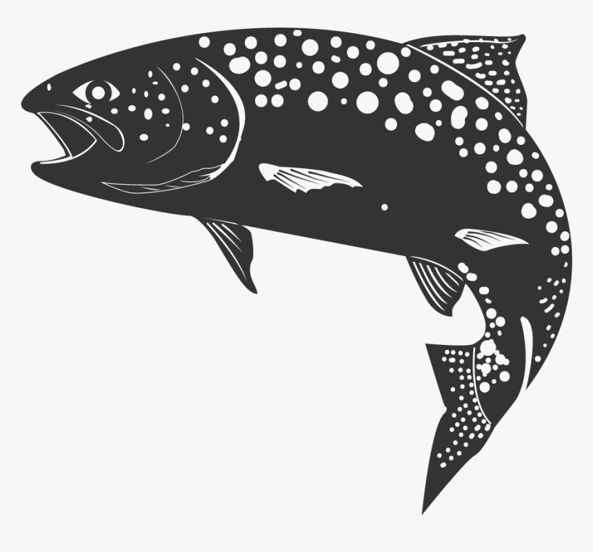 Whale, HD Png Download