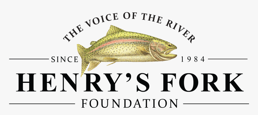 New Color Logo - News, HD Png Download