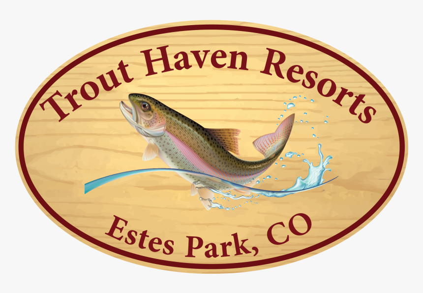 Trout , Transparent Cartoons - Trout Haven Resorts, HD Png Download