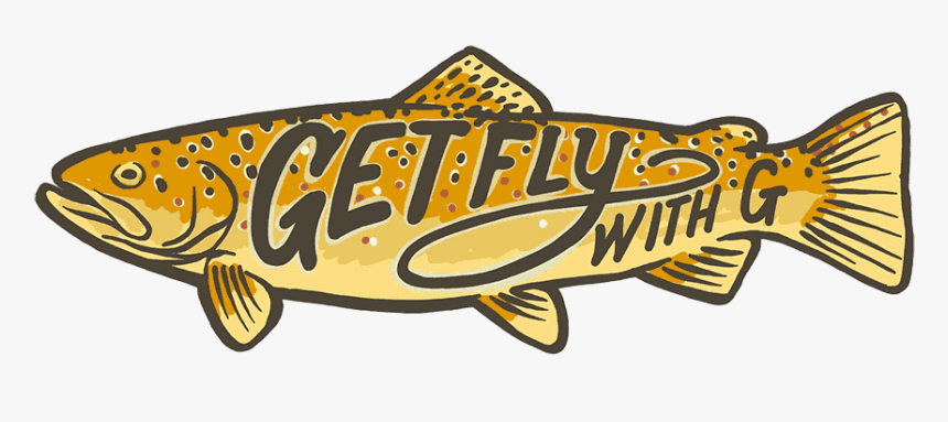 Get Fly With G Brown Trout - Trout, HD Png Download