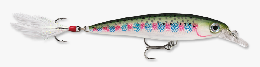 Rapala X Rap Rainbow Trout, HD Png Download