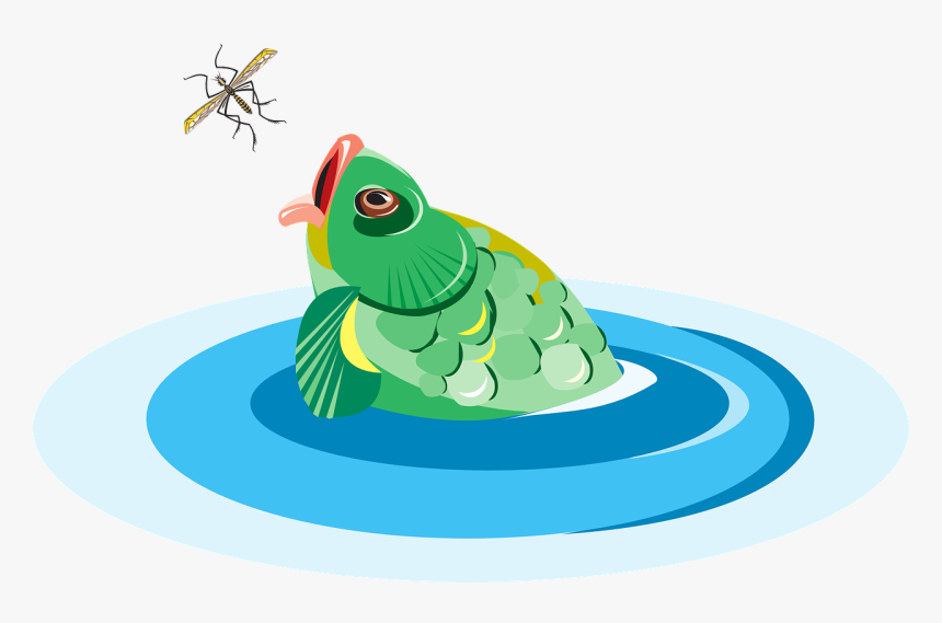Fish Eating Bug Clipart, HD Png Download
