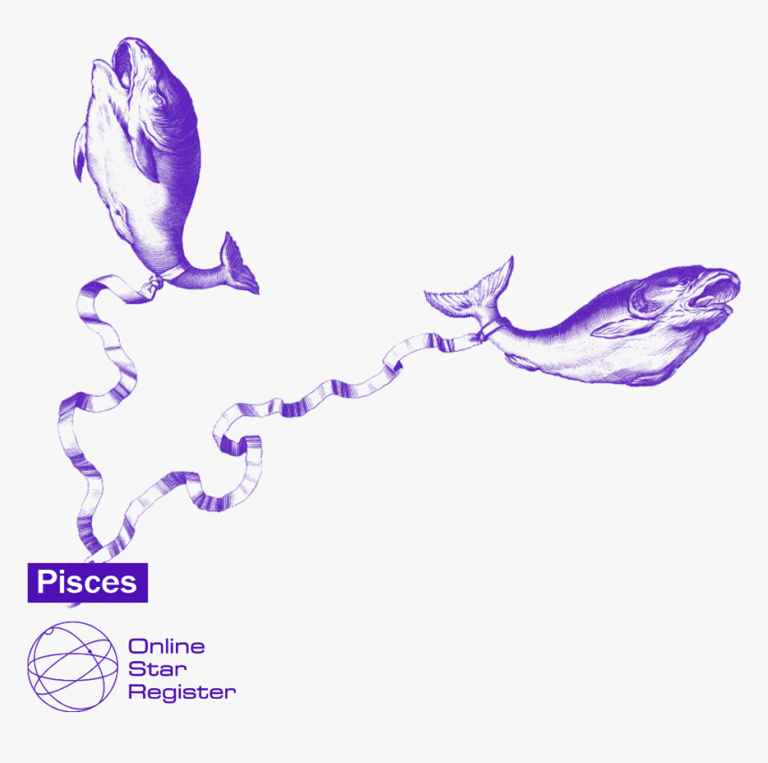 Illustration, HD Png Download