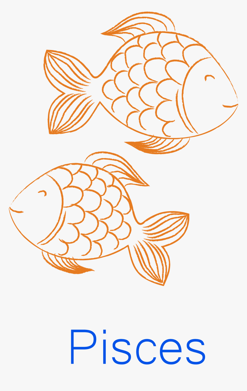 Coral Reef Fish, HD Png Download