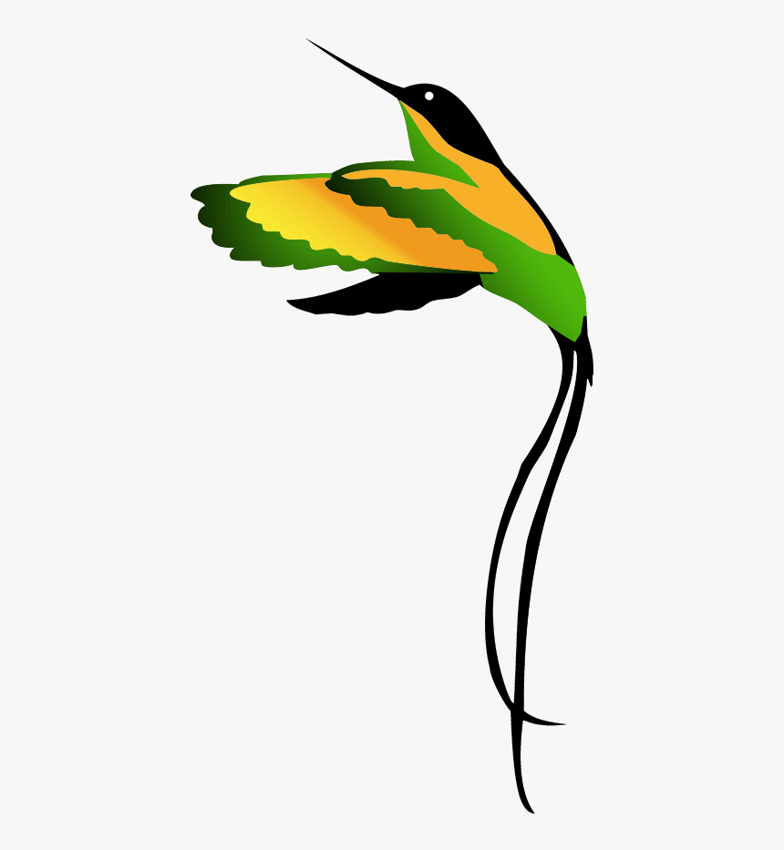 Jamaican National Bird Clipart Drawing - Drawing Jamaican National Bird, HD Png Download